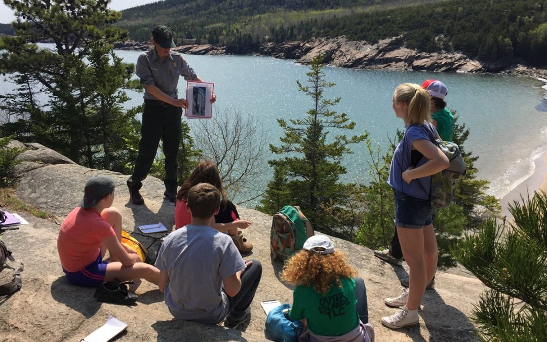 Guide to Scientific Investigation in Geosciences